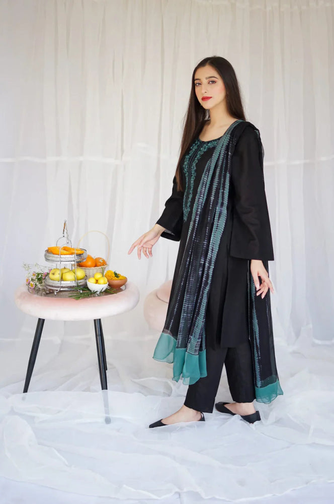 Black Dhanak Embroidered three piece Fcc - 886 - Wareeb.Shop