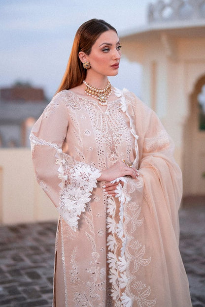 Zarpash Chikenkari Embroidered Dhanak Three Piece Zarpash - 02 - Wareeb.Shop